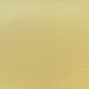 #096 Canary Yellow
