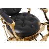 "THEODORE" Black & Gold Barber Chair - 2024 Edition (A-902GOL)