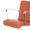 "SALLY" Salon Styling Chair in Chestnut (Free Shipping)