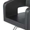 "PICASSO" Salon Styling Chair (Free Shipping)