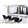 "SWAN" Modern Salon Chair, Modern Salon Furniture, Modern Salon Equipment