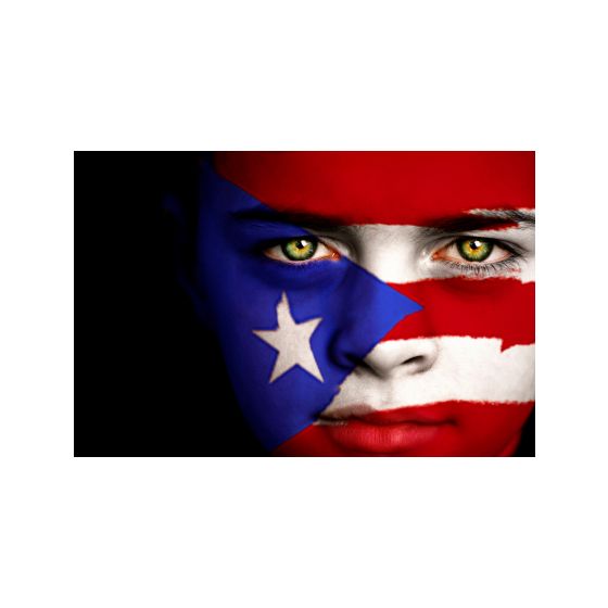Shipping Cost to Puerto Rico