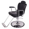 "DALLAS" Reclining Salon Chair, All-Purpose Chair