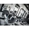 "CONSTANTINE" Barber Chair Wholesale, Barber Chairs for Sale, Barbershop Chairs